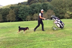 Golf_mit_Hund