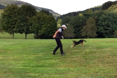 Golf_mit_Hund2