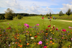 Golfausflug_Aug2011_MLBi019