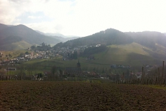 IMG-20130426-WA0000_HP